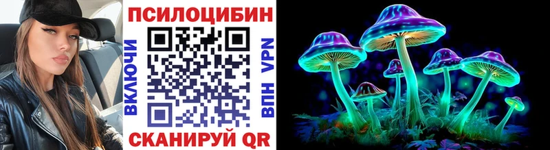 KRAKEN   Правдинск  Псилоцибиновые грибы прущие грибы  как найти закладки 