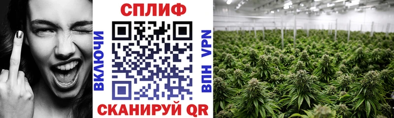 Шишки марихуана Amnesia где купить наркоту Правдинск